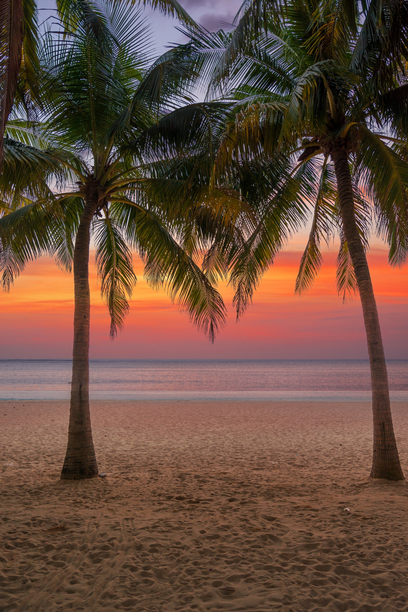 the Caribbean islands